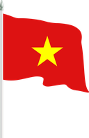 The Flag of Vietnam Pole Flag II