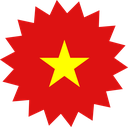 The Flag of Vietnam Star Burst