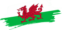 The Flag of Wales Brushed