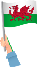 The Flag of Wales Handheld