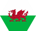 The Flag of Wales Hexagon I