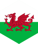 The Flag of Wales Hexagon II