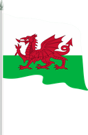 The Flag of Wales Pole Flag II