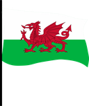 The Flag of Wales Pole Flag III