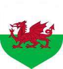 The Flag of Wales Shielded I