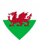 The Flag of Wales Shielded II