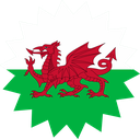 The Flag of Wales Star Burst