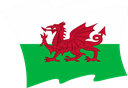 The Flag of Wales Wavy II