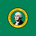 The Flag of Washington Square