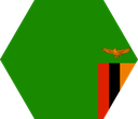 The Flag of Zambia Hexagon I