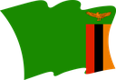 The Flag of Zambia Wavy II
